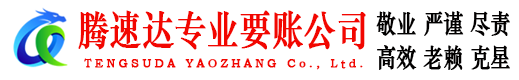 环翠讨债公司